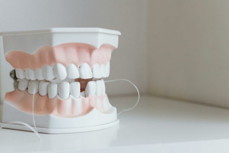Modèle de mâchoire au cabinet d'un dentiste à Vitrolles